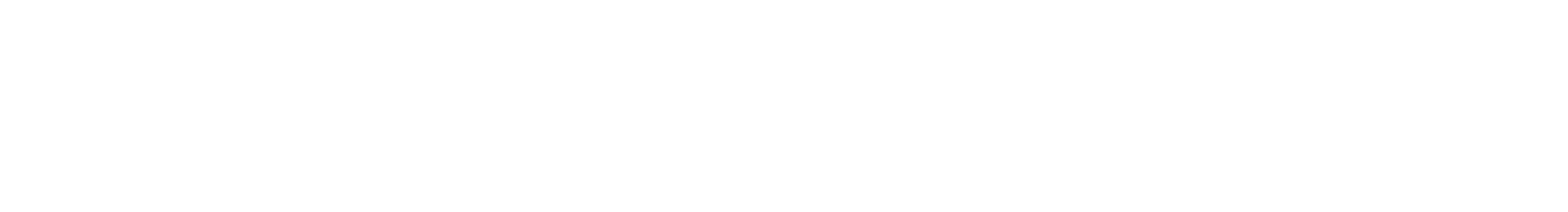 Cibes Lift Group logo